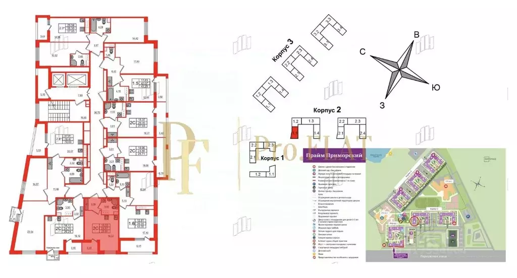 Студия Санкт-Петербург Парашютная ул., 71к2 (25.81 м) - Фото 1