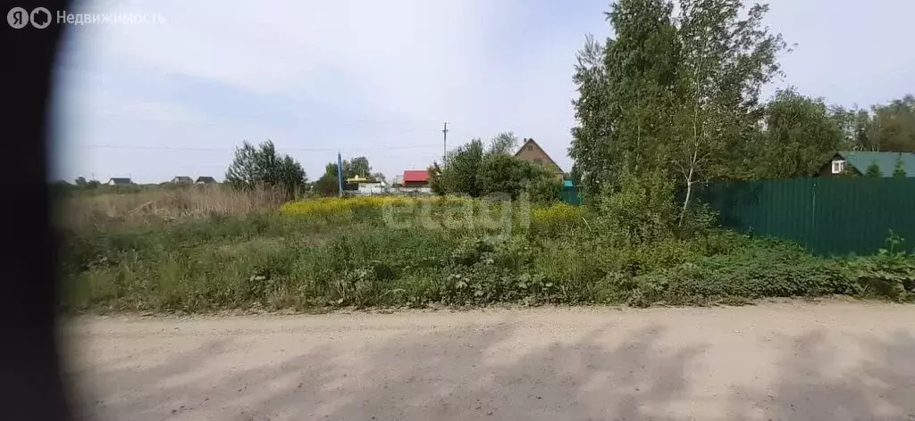 Участок в Колыванский район, СТ Надежда, 14-я улица (12 м) - Фото 2