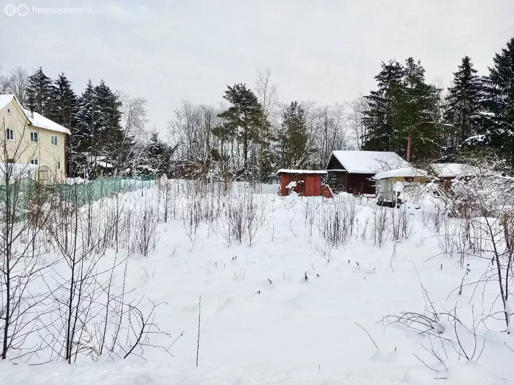 Участок в Ленинградская область, Гатчинский муниципальный округ, ... - Фото 1