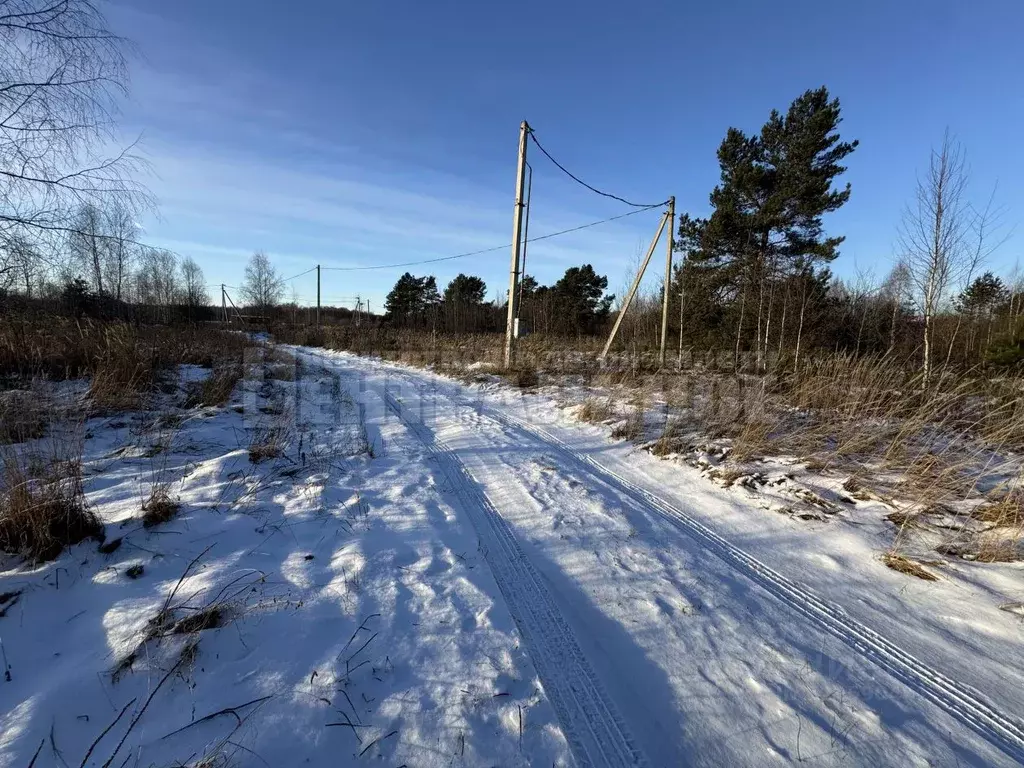 Участок в Смоленская область, Смоленский муниципальный округ, д. ... - Фото 2