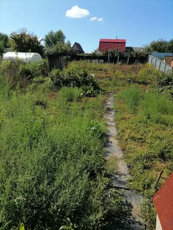 Дом в Алтайский край, Барнаул Дружба СНТ,  (30 м) - Фото 1