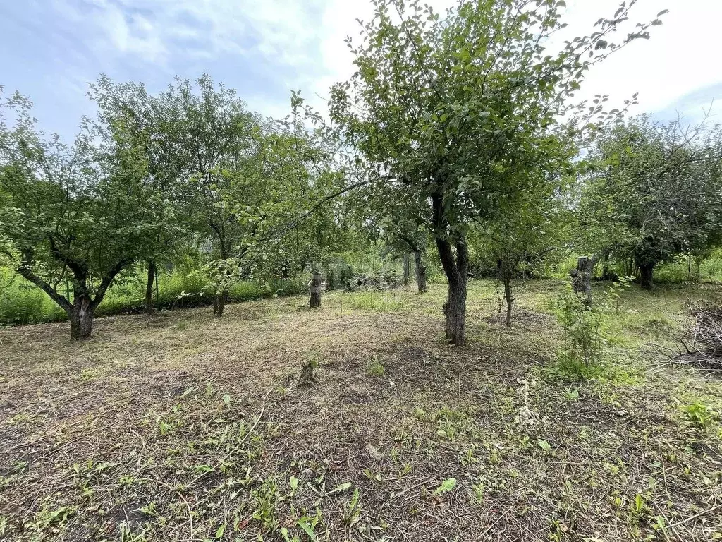Участок в Белгородская область, Белгородский район, Ериковское с/пос, ... - Фото 0
