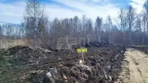 Участок в Тюменская область, Нижнетавдинский район, Сибирская Слобода ... - Фото 0