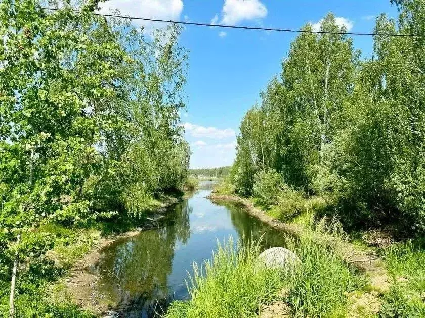 Участок в Тюменская область, Тюменский район, д. Елань  (5.5 сот.) - Фото 1