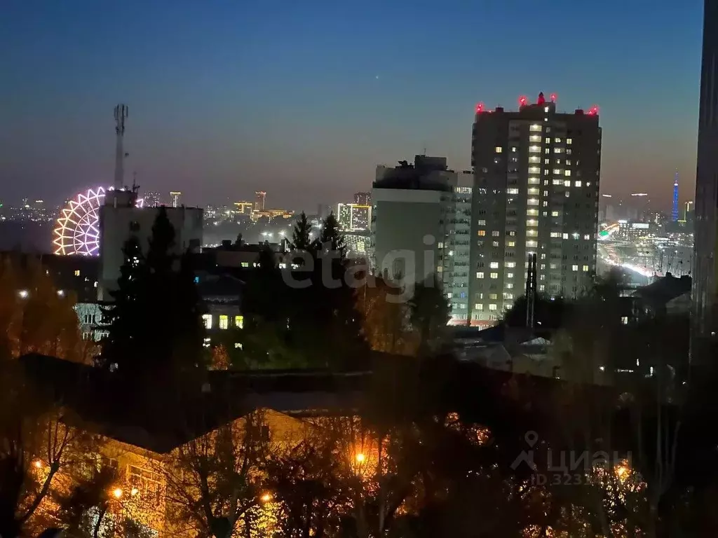 Студия Новосибирская область, Новосибирск Нижегородская ул., 24 (27.6 ... - Фото 1