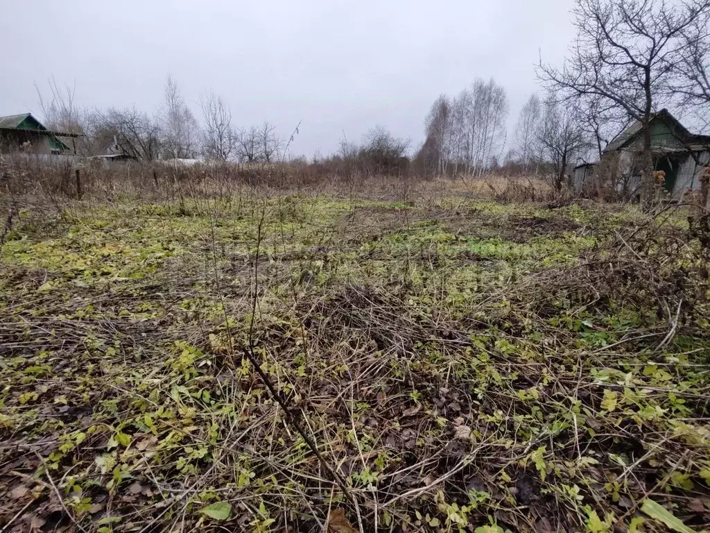 Участок в Смоленская область, Смоленский муниципальный округ, с. ... - Фото 1