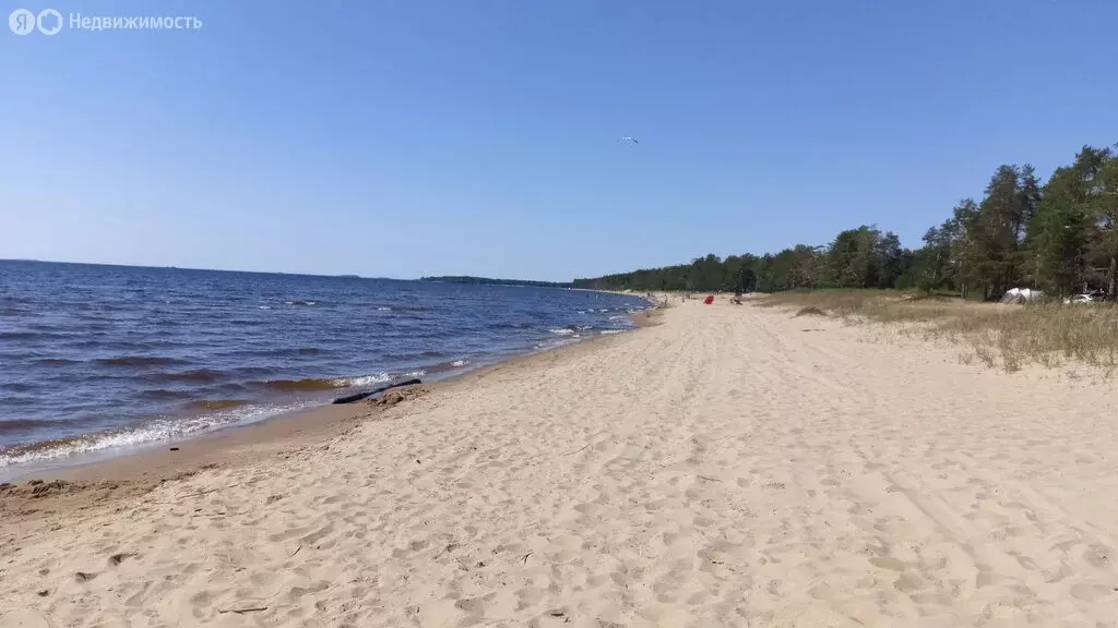 Участок в посёлок Шальский, Онежская улица (20 м) - Фото 0