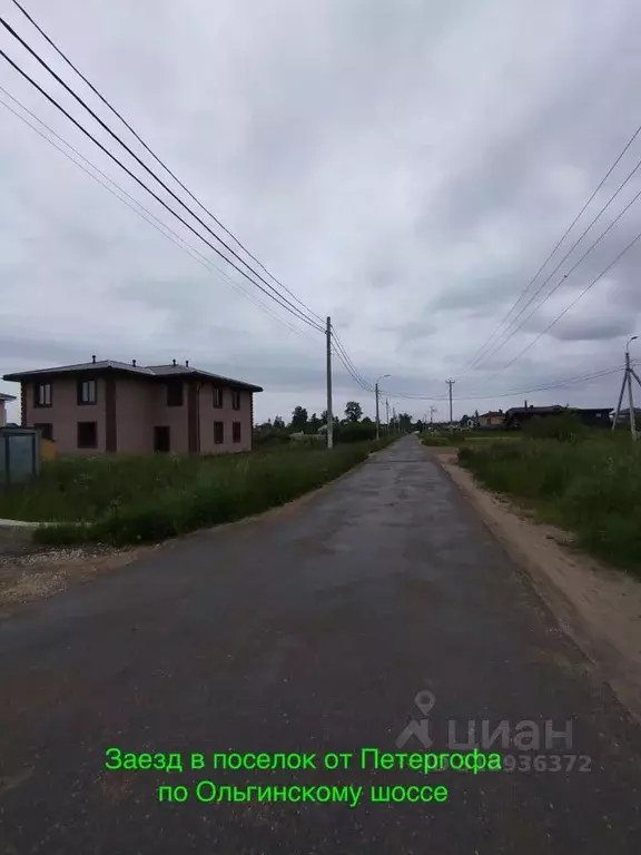 Участок в Санкт-Петербург, Санкт-Петербург, Петергоф ш. Ольгинское, ... - Фото 1