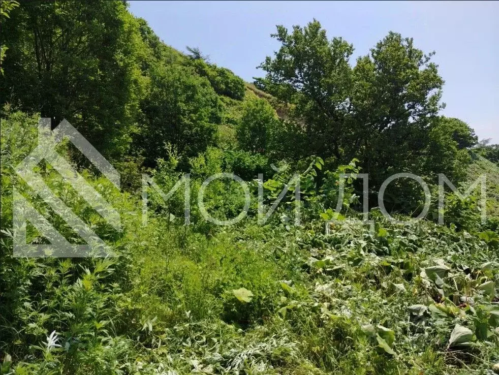 Участок в Сахалинская область, Невельск Нагорная ул. (6.2 сот.) - Фото 1