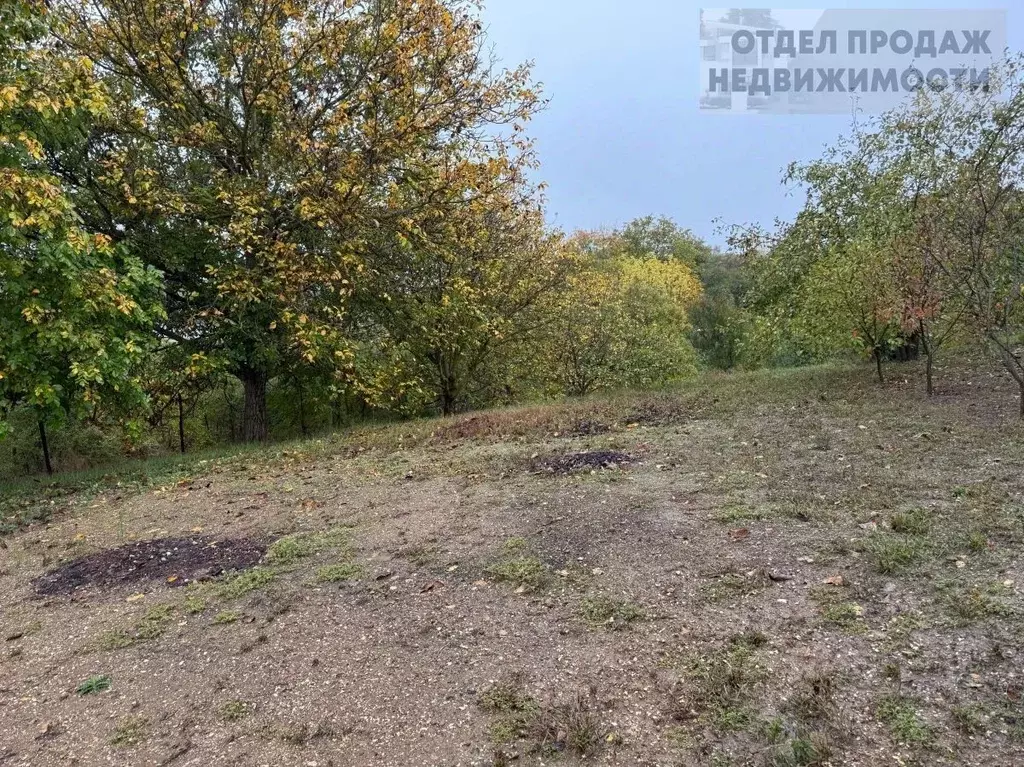 Участок в Краснодарский край, Крымский район, с. Молдаванское ул. ... - Фото 2