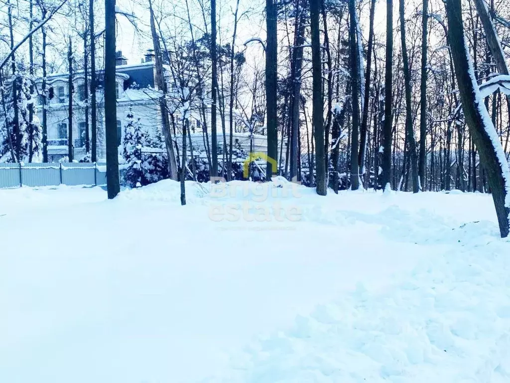 Участок в Московская область, Красногорск городской округ, с. ... - Фото 2