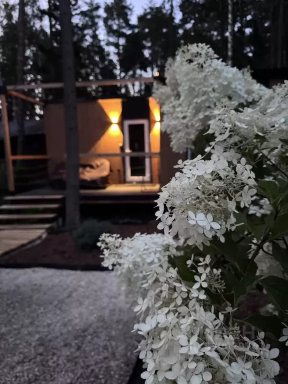 Дом в Нижегородская область, Городецкий муниципальный округ, База ... - Фото 1