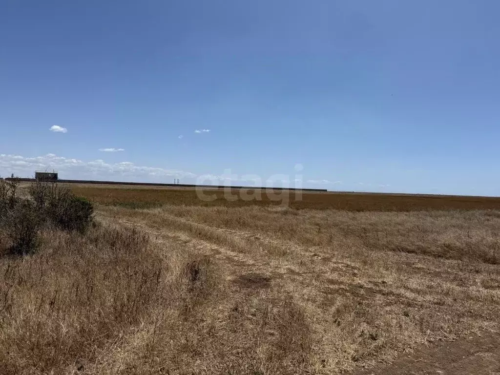 Участок в Крым, Сакский район, с. Молочное  (3.0 сот.) - Фото 0