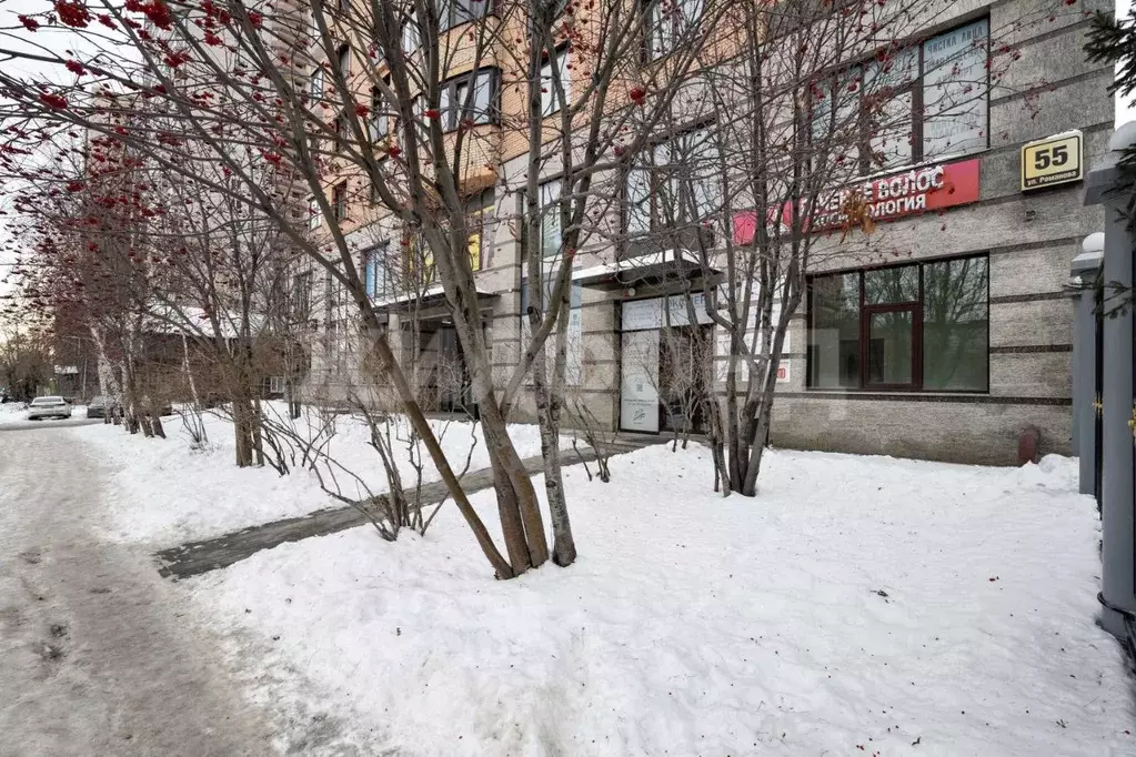 Офис в Новосибирская область, Новосибирск ул. Романова, 55 (120 м) - Фото 2