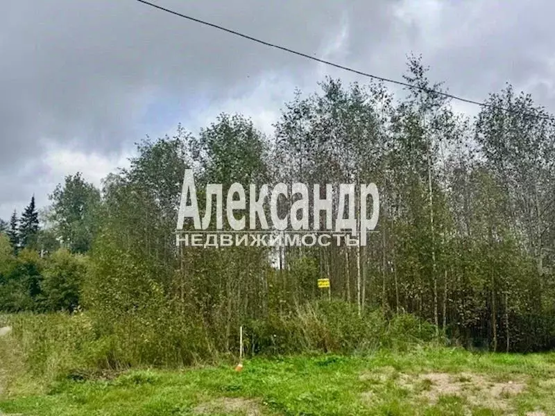 Участок в Ленинградская область, Выборгский район, Селезневское с/пос, ... - Фото 2