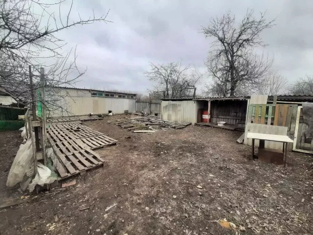 Участок в Белгородская область, Волоконовка рп ул. Гоголя (12.0 сот.) - Фото 1