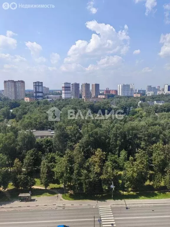 Квартира-студия: Пушкино, Ярославское шоссе, 194 (30.2 м) - Фото 2