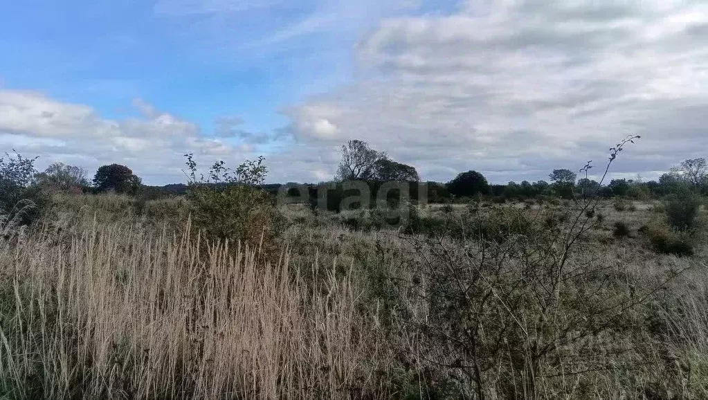Участок в Калининградская область, Зеленоградский муниципальный округ, ... - Фото 2
