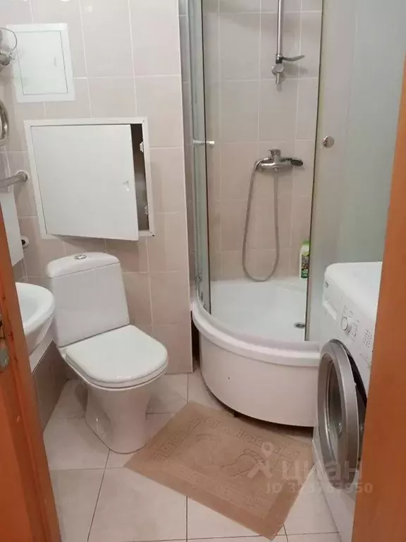 Студия Псковская область, Псковский район, Завеличенская волость, д. ... - Фото 1