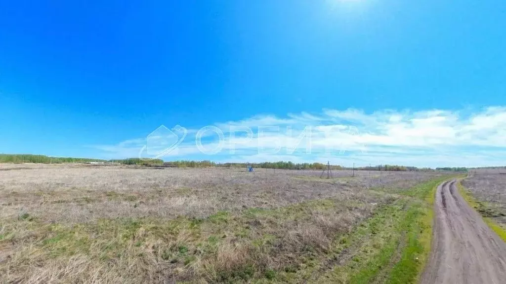 Участок в Тюменская область, Тюменский район, д. Большие Акияры  (8.4 ... - Фото 2