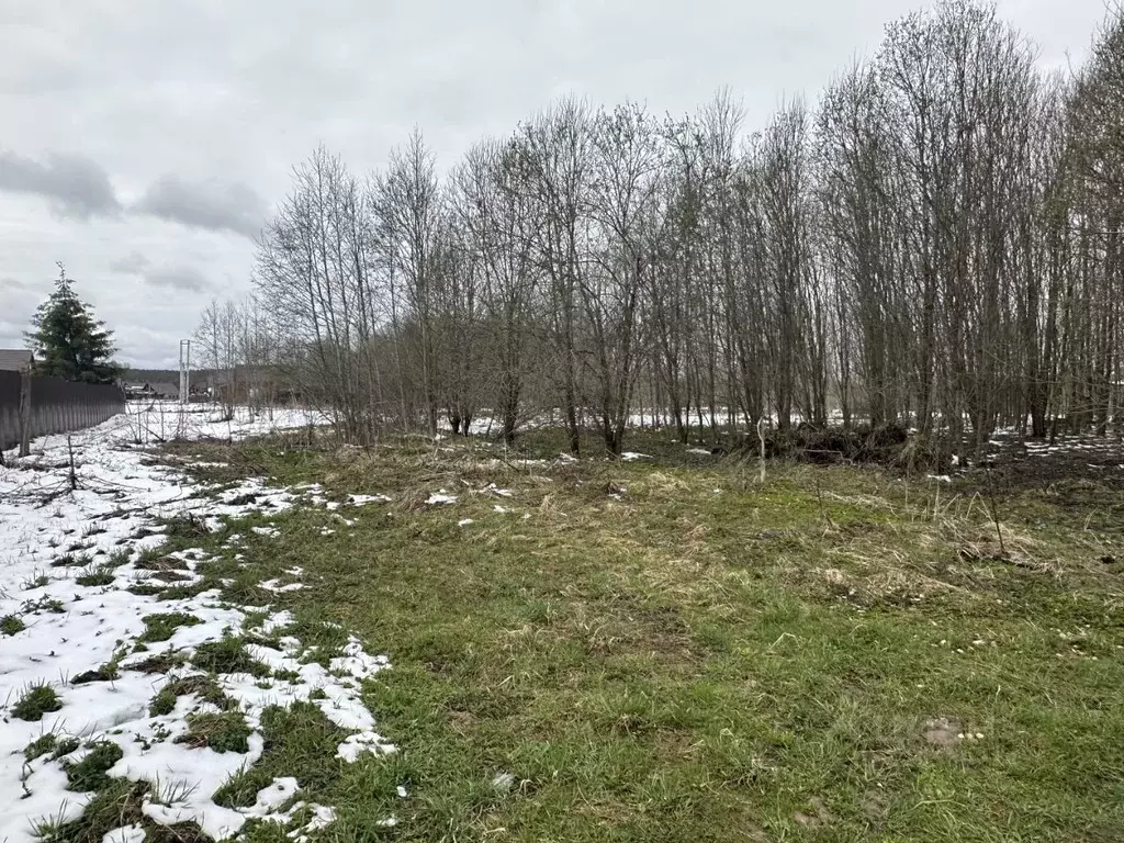 Участок в Московская область, Клин городской округ, д. Спасское  (15.0 ... - Фото 1