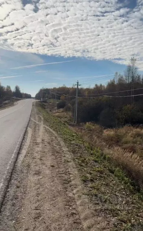 Участок в Московская область, Клин городской округ, д. Богаиха ул. ... - Фото 0