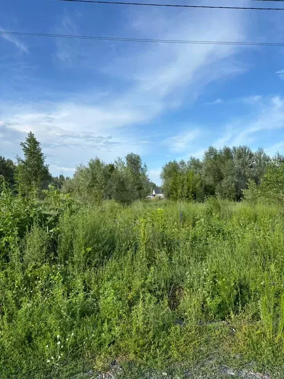 Участок 11 сот. (ИЖС) - Фото 0