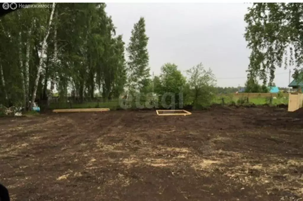 Участок в Искитимский район, Мичуринский сельсовет, садовое ... - Фото 2