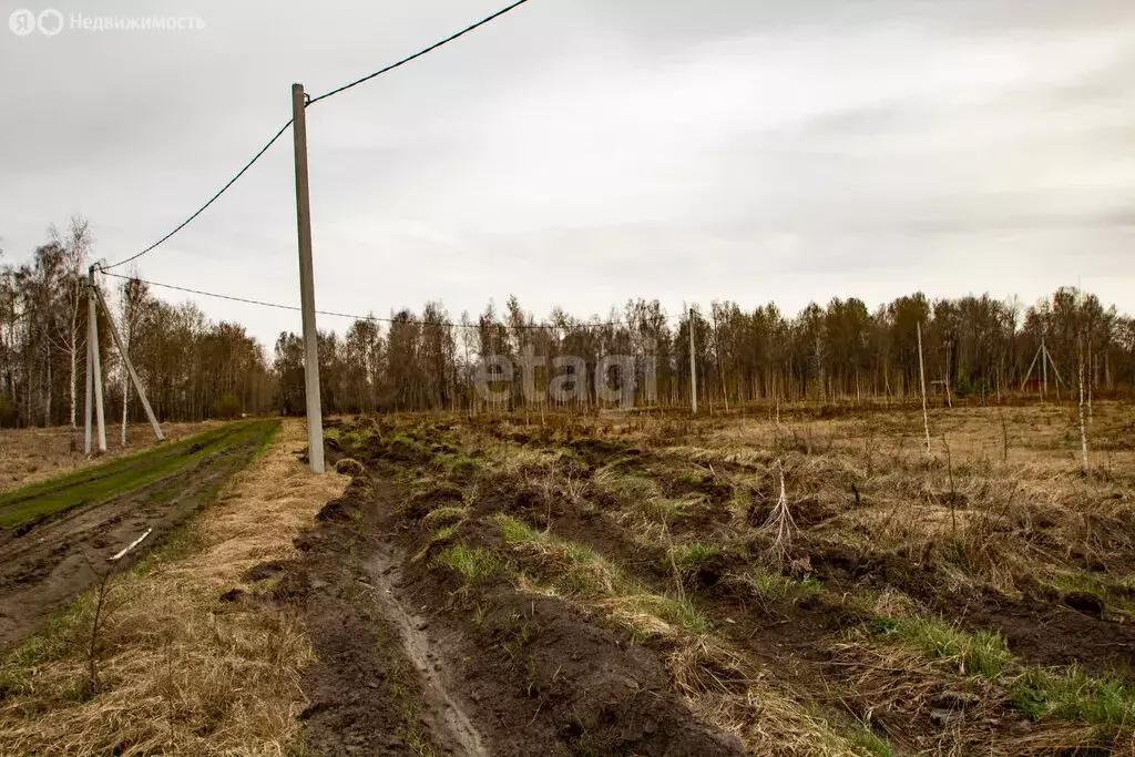Участок в Тюменская область, Ялуторовский муниципальный округ, поселок ... - Фото 1