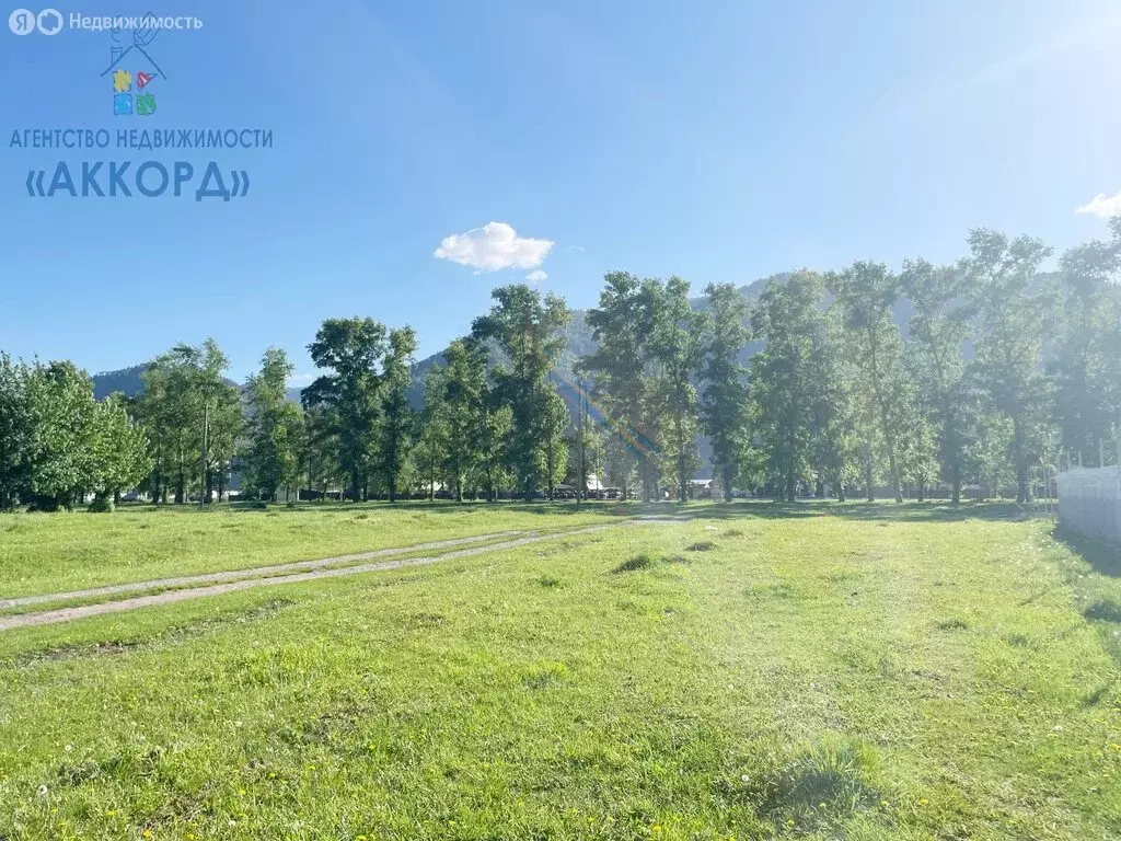 Участок в село Чемал, улица Энтузиастов (12 м) - Фото 0