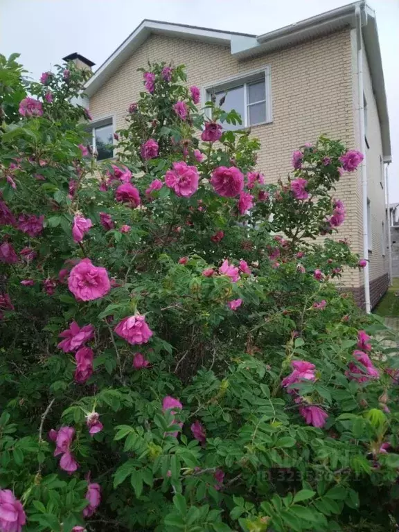 Коттедж в Еврейская автономная область, Смидовичский район, пос. ... - Фото 2
