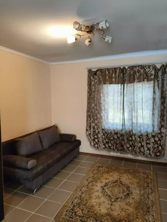 Студия Московская область, Пушкино Авиационная ул., 24 (22.0 м) - Фото 2