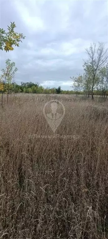 Участок в Краснодарский край, Динской район, Старомышастовская ст-ца ... - Фото 0