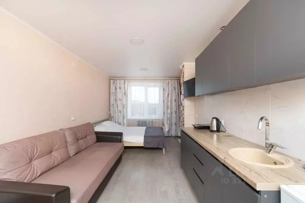 Студия Тюменская область, Ишимский муниципальный округ, Стрехнинское ... - Фото 2