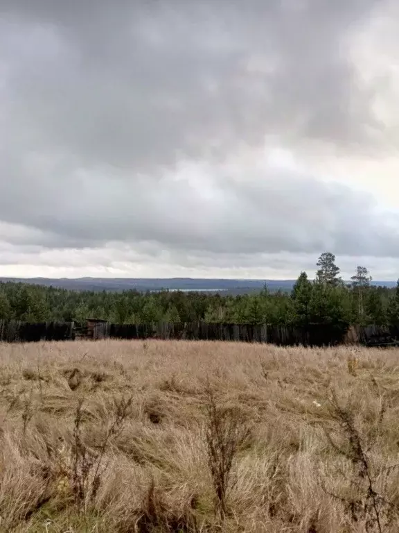 Участок в Иркутская область, Усть-Илимский муниципальный округ, ... - Фото 1