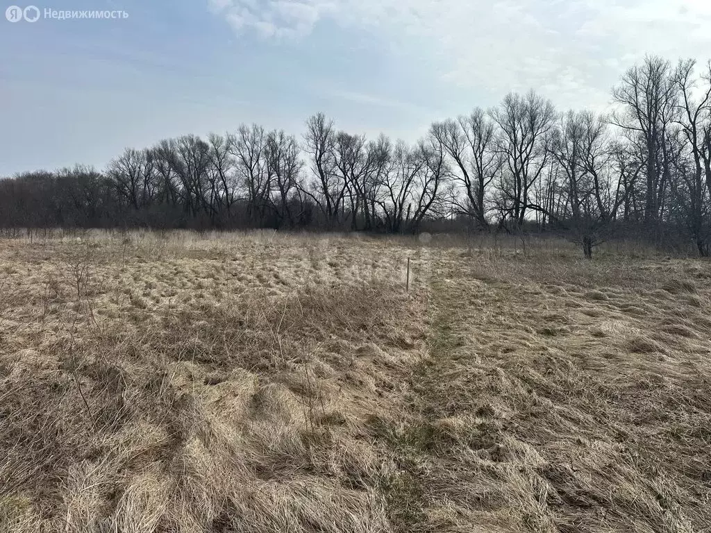 Участок в Калининградская область, Зеленоградский муниципальный округ, ... - Фото 1