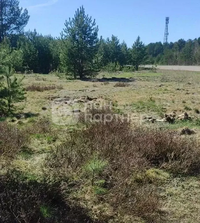 Участок в Ленинградская область, Лодейное поле ул. ... - Фото 1