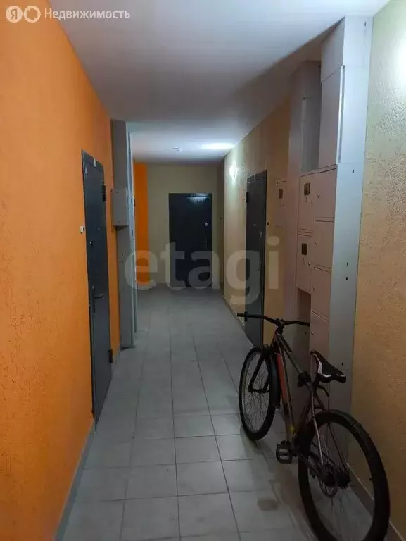 1-комнатная квартира: посёлок Красный Бор, квартал Светлояр, 1к4 (38 ... - Фото 2