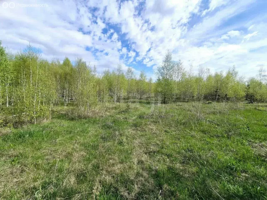 Участок в Сосновский округ, Алишевское сельское поселение, посёлок ... - Фото 0