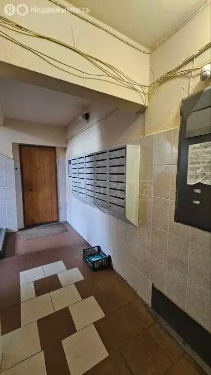 2-комнатная квартира: Воронеж, улица Шишкова, 97 (55 м) - Фото 0