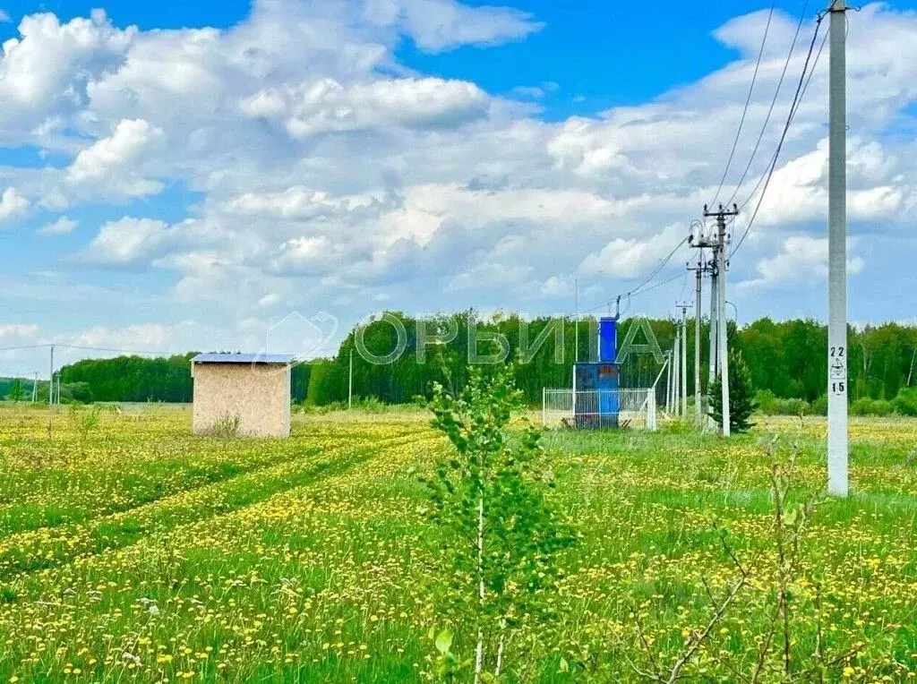 Участок в Тюменская область, Тюменский район, с. Горьковка Центральная ... - Фото 1