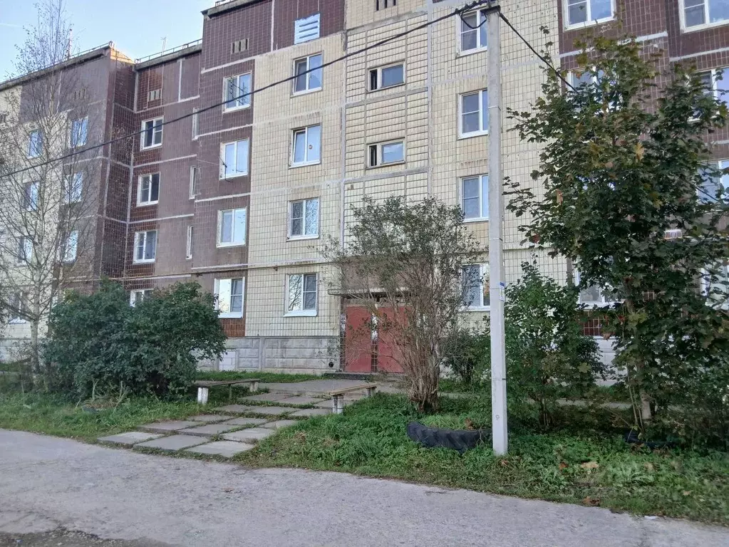 3-к кв. Ленинградская область, Гатчинский муниципальный округ, д. ... - Фото 0