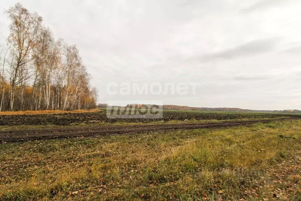 Участок в Тюменская область, Тюменский район, с. Горьковка  (10.75 ... - Фото 0