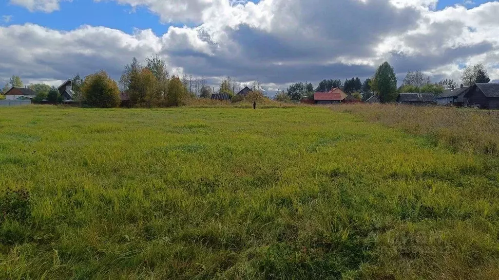 Участок в Вологодская область, д. Старое (Старосельский сельсовет)  ... - Фото 0