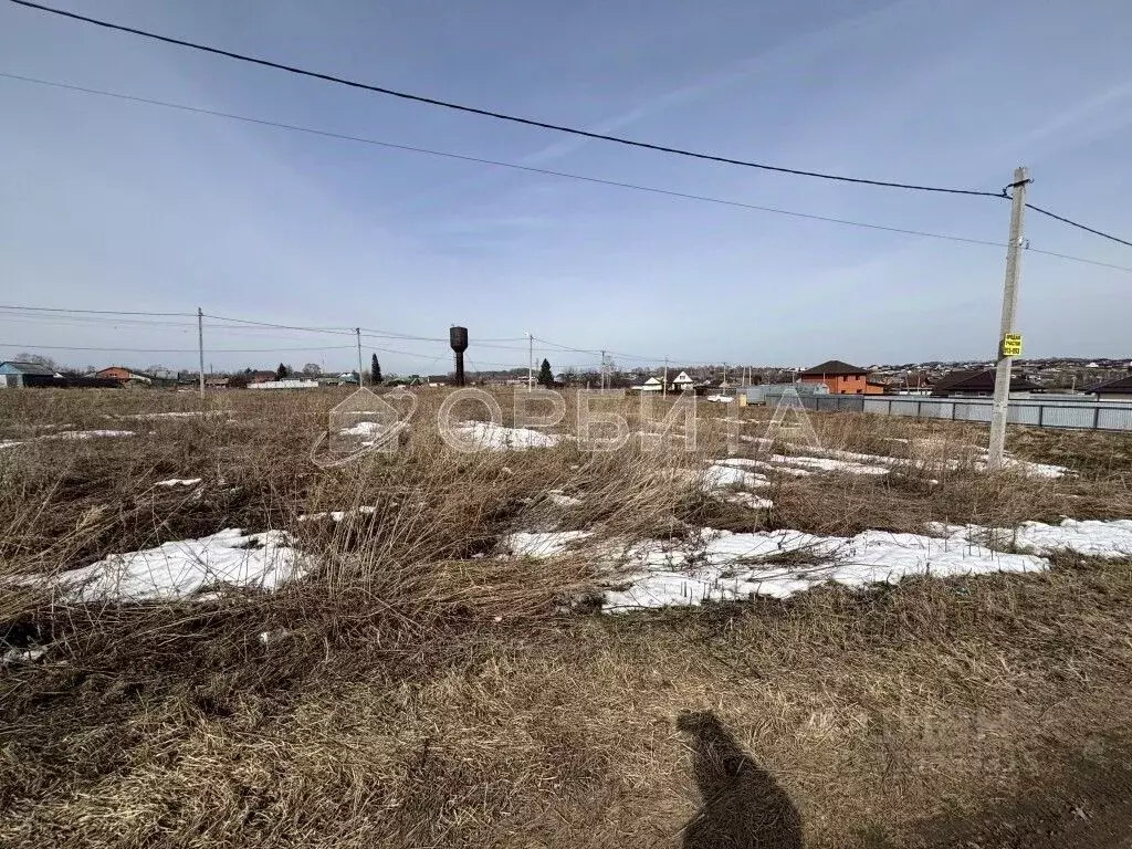 Участок в Тюменская область, Тюменский район, с. Кулига  (6.42 сот.) - Фото 1