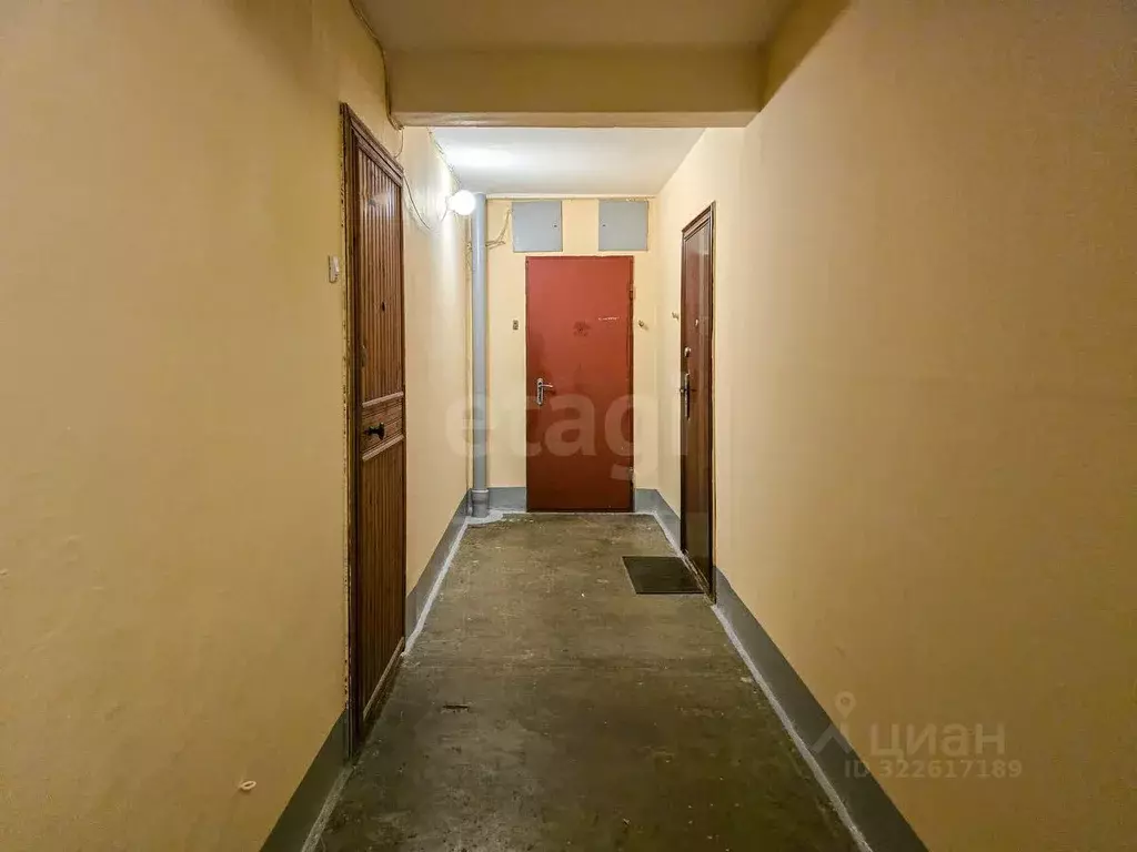 Комната Санкт-Петербург просп. Художников, 33К1 (13.4 м) - Фото 1