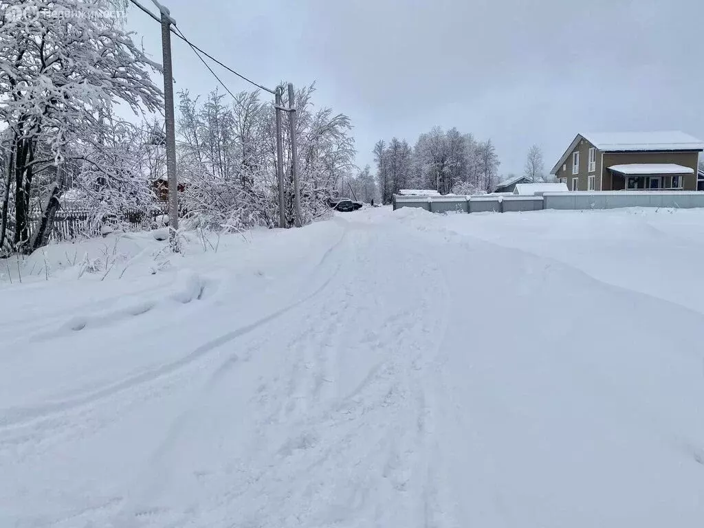 Участок в Архангельская область, Приморский муниципальный округ, ... - Фото 2