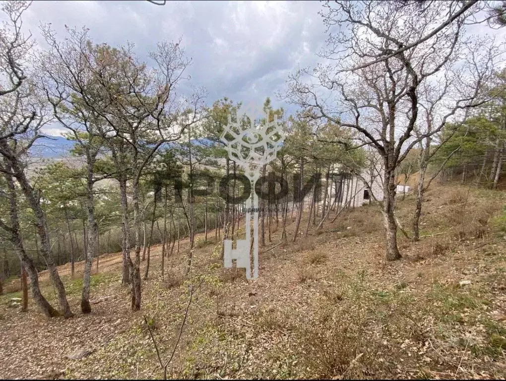 Участок в Крым, Алушта муниципальный округ, пос. Семидворье  (5.0 ... - Фото 2