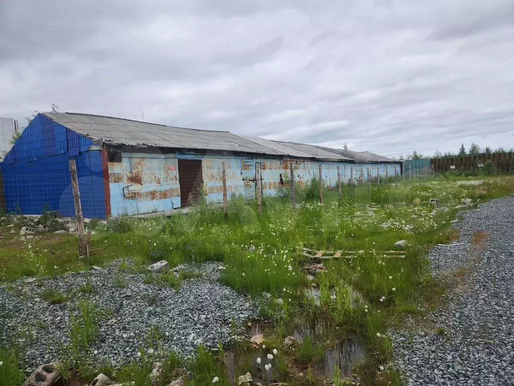Склад, 585 м - Фото 1