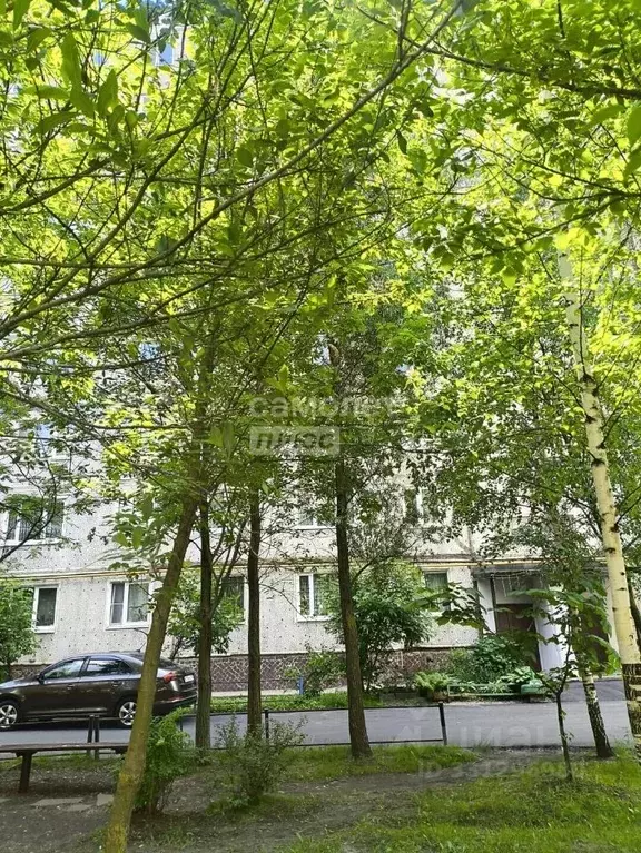 3-к кв. Московская область, Павловский Посад проезд Большой ... - Фото 1